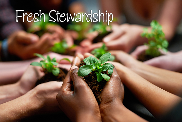					View Vol. 45 No. 2 (2018): Fresh Stewardship
				